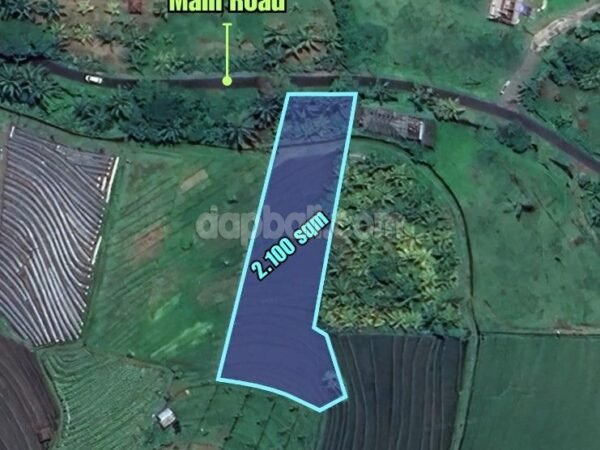 37325 - Idyllic surroundings of 2100 sqm land for sale in Megati