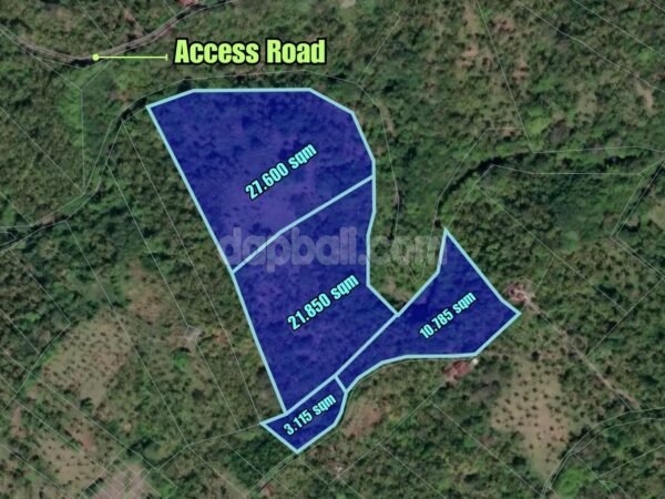 37190 - Exotic huge land of 6,34 Ha for sale in East Selemadeg