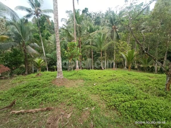 37347 - Prime land of 1900 sqm with authentic Balinese atmosphere for sale in Selemadeg