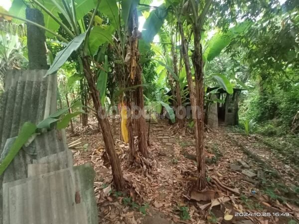 37423 - Small plot of 300 sqm for sale in a traditional Balinese village of Kerambitan