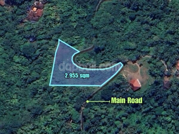 37560 - Idyllic Surroundings of 2955 sqm land for sale in Karangasem