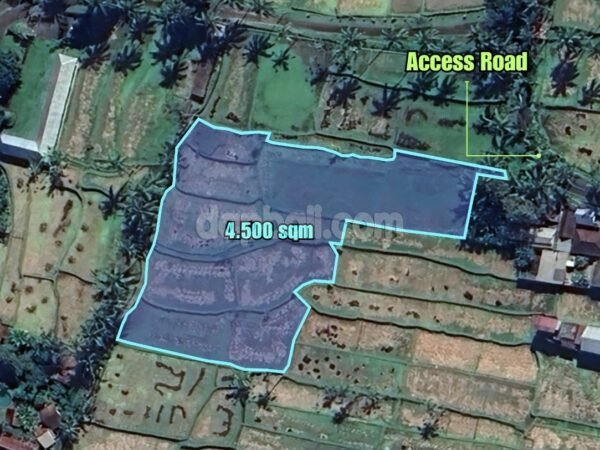 37914 - 4500 sqm land for sale in Kedisan, Tegallalang