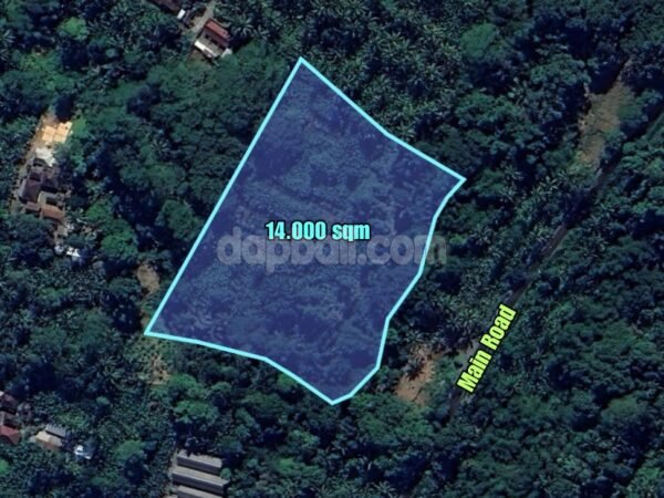 37960 - A huge beautiful land of 14000 sqm for sale in Ubud, Bali