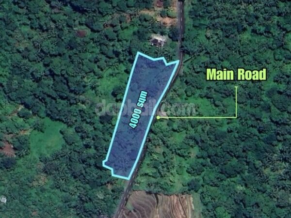 38010 - Riverside land of 4000 sqm for sale in Selemadeg, Tabanan, Bali