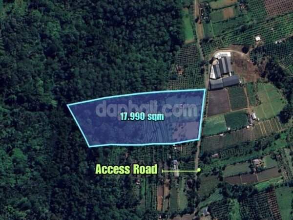 37611 - Expansive land of 17990 sqm for sale in Baturiti