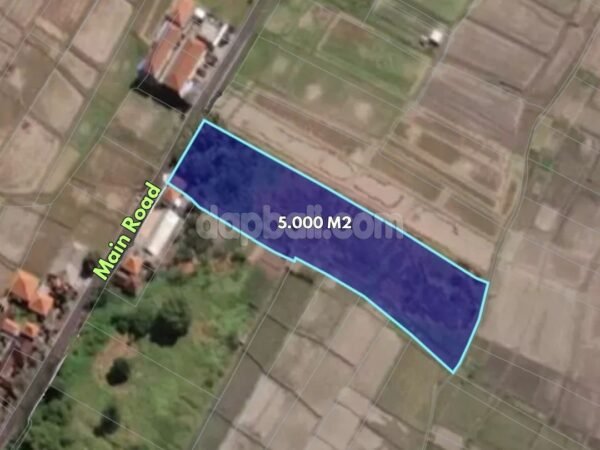 38444 - Roadside land of 5000 sqm for sale in Kaba-Kaba, Tabanan