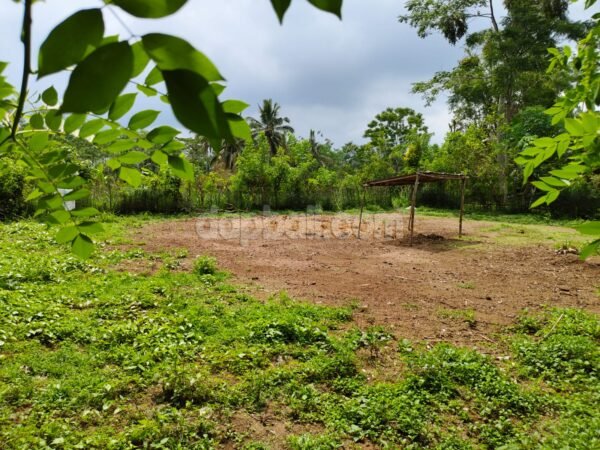 38022 - Beautiful land of 17900 sqm land offers pristine natural beauty for sale in Ubud, Bali