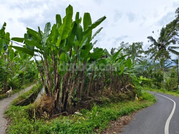 38065 - Beautiful natural surroundings of 4000 sqm land for sale in Ubud, Bali