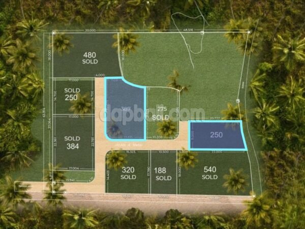 38201 - Two units of prime plot with different sizes of 387 sqm & 250 sqm for lease in Balangan, Bali