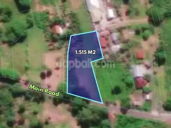 38603 - 1515 sqm land with stunning natural surroundings for sale in Karangasem, Bali