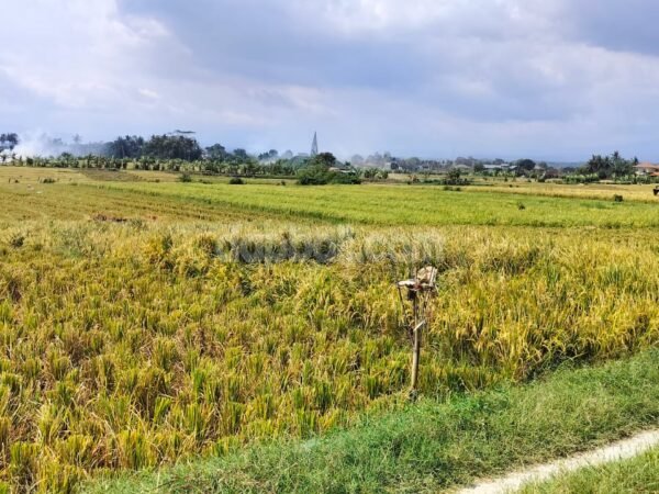 38962 - Prime plots of 3850 sqm with idyllic natural surroundings for sale in Tibubiu, Tabanan