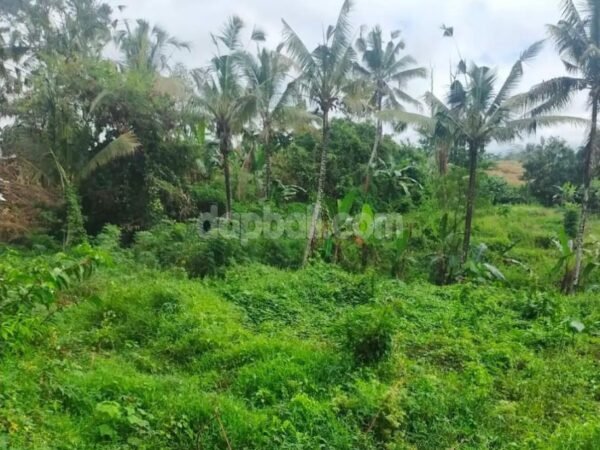 38721 - Riverfront land of 8000 sqm with natural hot spring for sale in Penebel, Tabanan