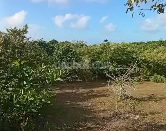 38897 - Residential plot of 2100 sqm for lease in Kutuh, South Kuta, Bali