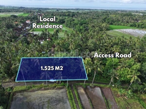 39022 - Residential land of 1525 sqm suitable for housing or villa for sale in Mambang, Tabanan