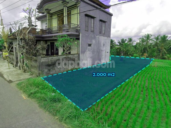 38870 - 2000 sqm ( 20 Are ) of vacant land in a commercial environment in Kenderan, Gianyar