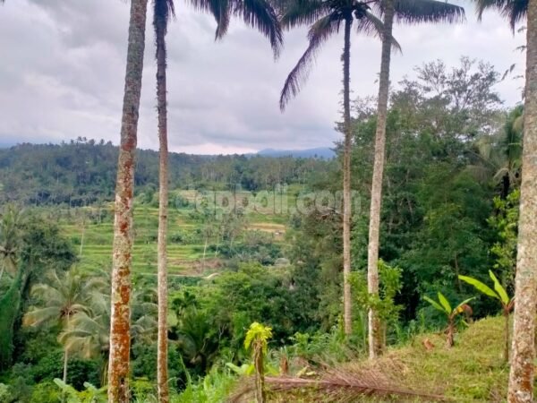 38790 - Exquisite land of 2400 sqm offers waterfall scenery for sale in Karangasem, Bali