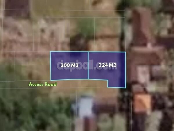 39507 - Two small size plot for sale in Mas, Ubud