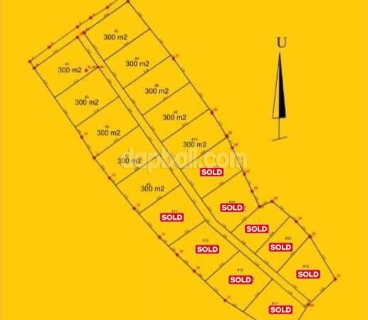 39585 - Beautiful plot with captivating natural views size start from 220 sqm for sale in Talibeng, Karangasem