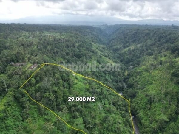 40139 - For sale huge idyllic land of 2.9 Ha with unbeatable natural views in Nongan, Karangasem