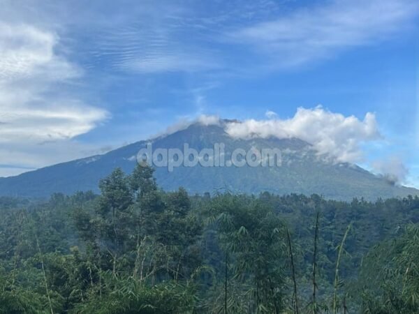 40598 - 2255 sqm land with panoramic natural views for lease in Menanga, Karangasem