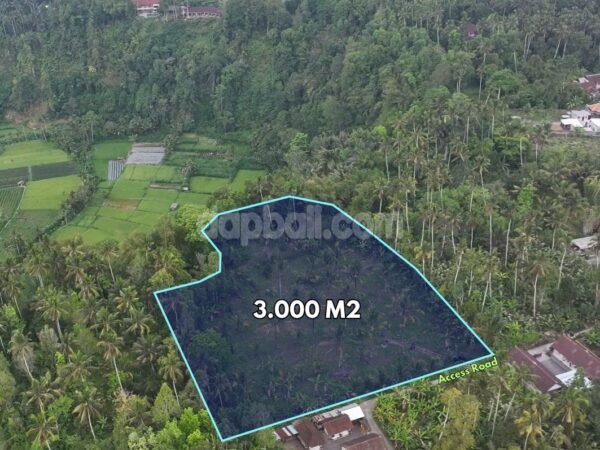 42793 - 3000 sqm ( or more ) land for lease in an idyllic authentic Balinese village at Menanga, Karangasem
