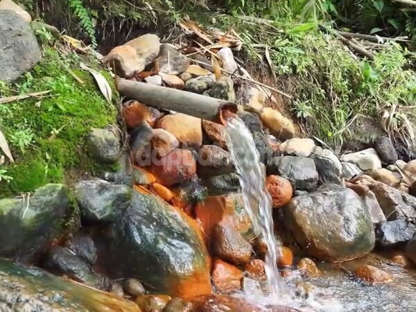 46516 - For Sale – 51.15 Are Land with Natural Hot Spring | Penebel, Tabanan, Bali