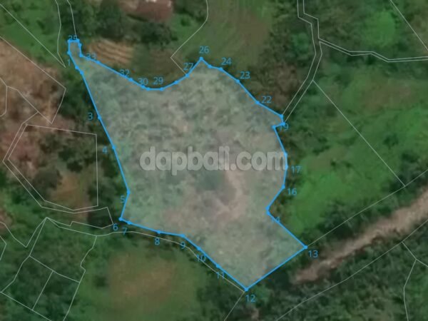 46509 - Land for Sale Near Hot Spring Penatahan – 1 Hectare with Rare Views | Tabanan, Bali
