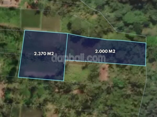 46643 - 4370 SQM LAND  FOR SALE IN TIMBUL VILLAGE, TAMPAKSIRING, UBUD – GIANYAR 🌿