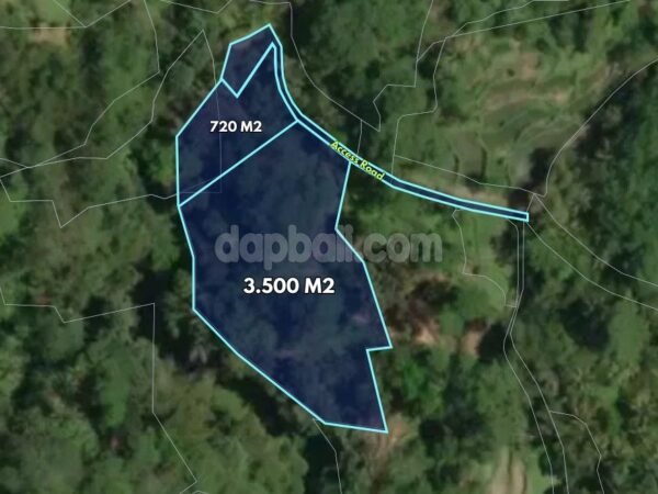 46723 - 4,400 sqm Land with Jungle, Rice field and River Views for Sale in Keliki, Gianyar