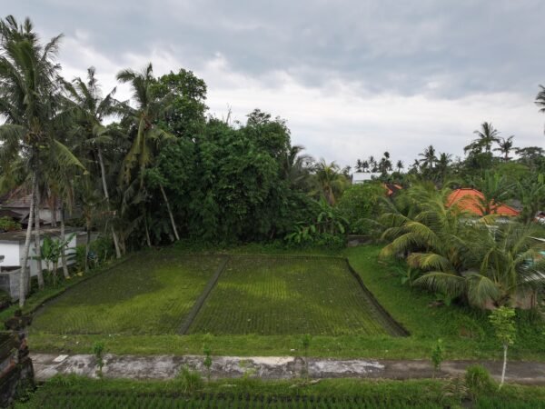 47746 - 1,500 sqm Residential Land with Rice Field View for Lease in Nyambu, Tabanan