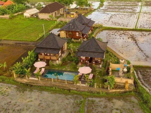 47841 - Charming Villa Retreat for Rent in Lodtunduh, Ubud – Surrounded by Rice Fields and Tranquil Nature