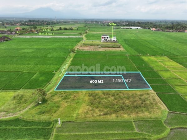 47229 - Rice Field View Land of 1.150 sqm for Sale near Kelating Beach,Tabanan, Bali