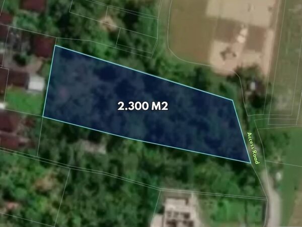 48426 - Freehold 1.100 sqm Land for Sale in Tista, Kerambitan – Rice Field & Mountain View