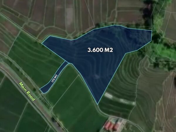 48504 - 3,800 sqm Freehold Rice Field View Land for Sale in Kaba-Kaba, Tabanan