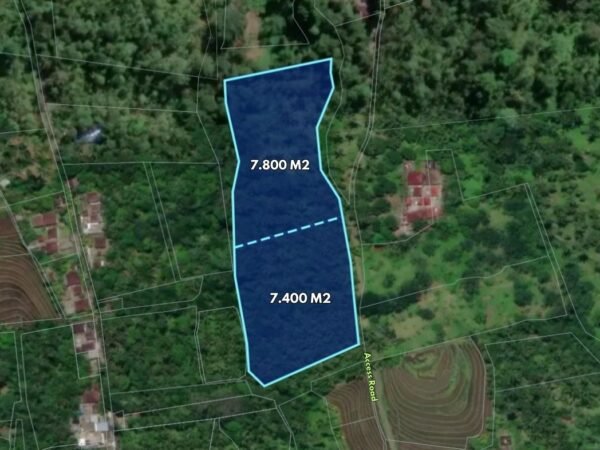 48600 - 15,200 sqm Productive Plantation Land For Sale at Penebel, Tabanan
