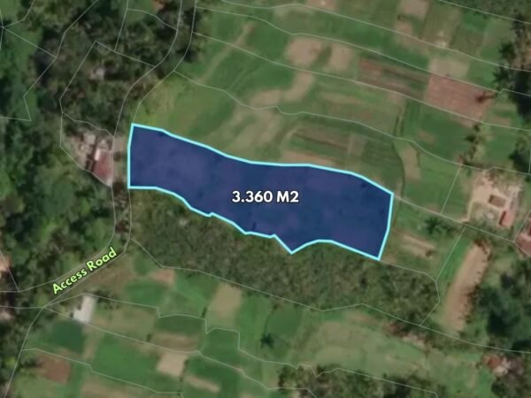 48175 - 3,360 sqm Rice Field View Land For Sale In Bukian, Payangan – Gianyar, Bali