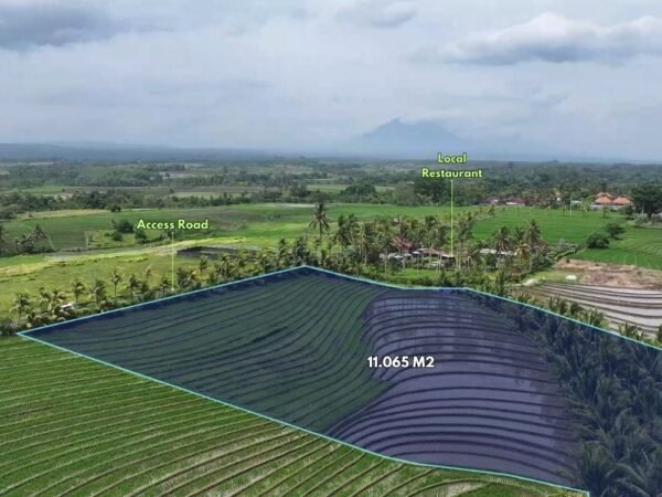 48280 - 11,065 sqm Large Tourism Land for Lease in Kelecung, Tegal Mengkeb – Ocean, Mountain & Rice Field View