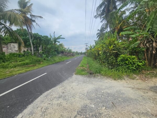 48249 - 1,125 sqm Prime Ocean–Mountain View Land for Lease in Pasut – Tourism Pink Zone Near Beach