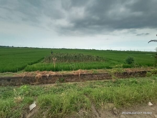 48514 - Best Value Coastal Land for Sale in Pasut, Kerambitan
