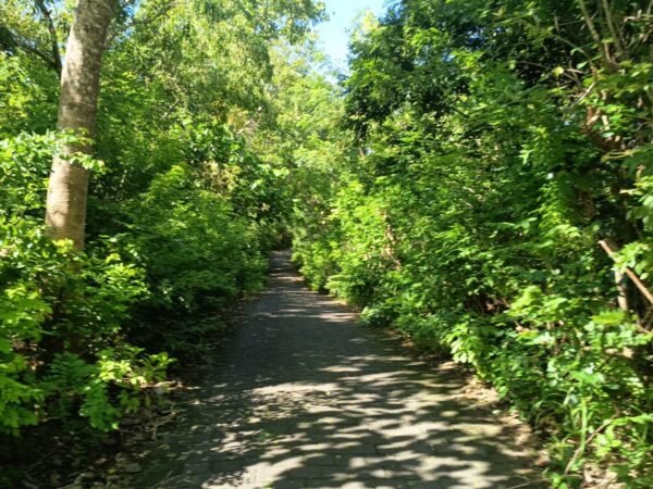 48906 - Affordable Land for Sale in Pergung, Jembrana – Natural Valley View