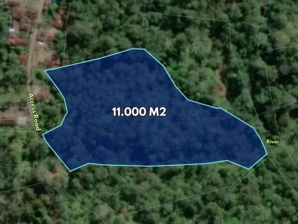 49454 - 1.1 Ha Freehold Riverside Land with Mountain View for Sale in Wanagiri, Selemadeg – Tabanan