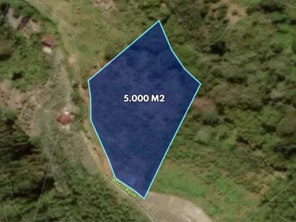 49798 - 5.000 sqm Premium Productive Land with Mount Batur View – Sukawana - Kintamani, Bali