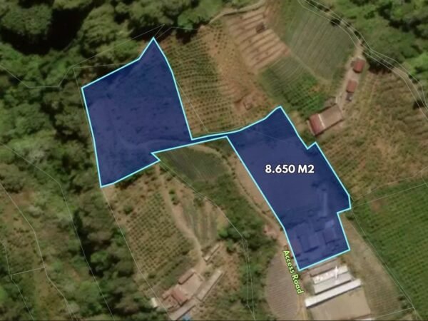 49806 - Prime 8,000 sqm Freehold Land with Mountain View in Kintamani, Bangli - Bali