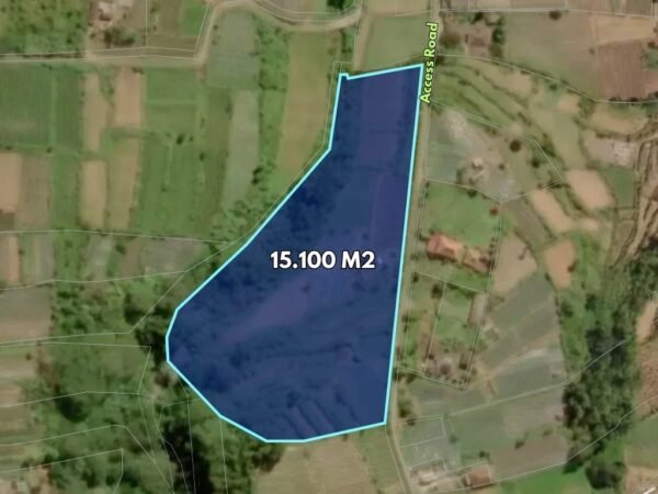 50176 - Freehold Land For Sale With Lake & Sunrise View – Bedugul, Pancasari