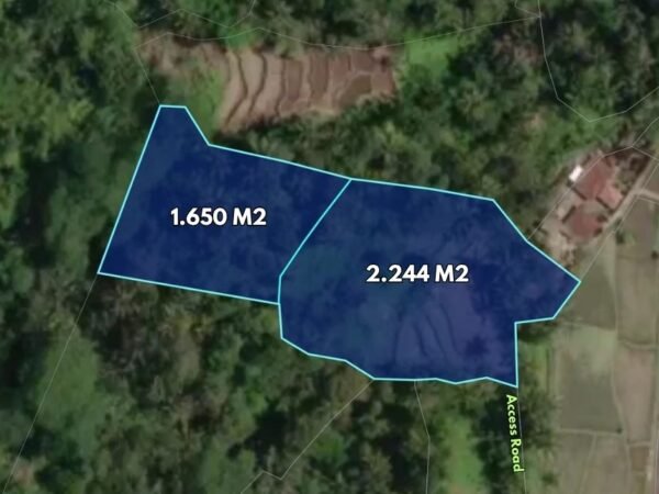 49513 - Prime 44-Are Leasehold Land in Tegallalang, Bali | Sunset Ridge with Jungle & Rice Terrace Views