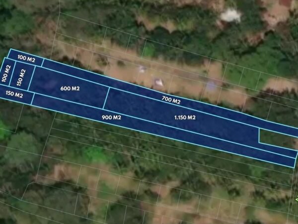 49585 - 3800 sqm Land For Sale in Sangeh, Badung | Flat Terrain & Secure Freehold Title