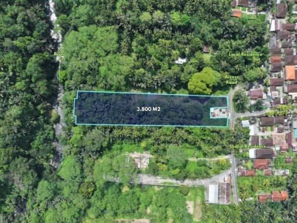49585 - 3800 sqm Land For Sale in Sangeh, Badung | Flat Terrain & Secure Freehold Title