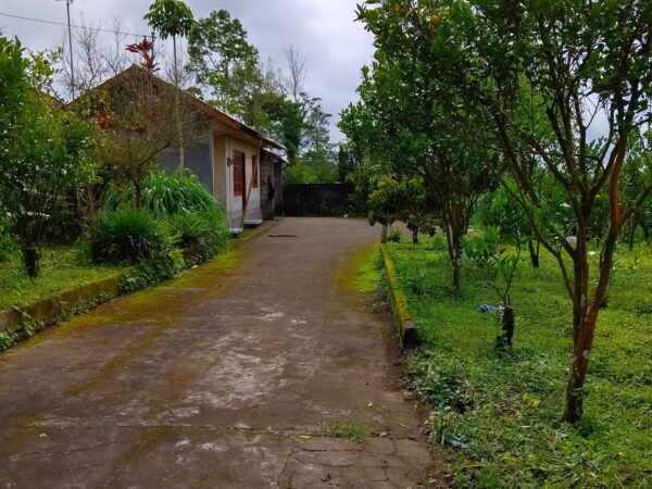 49835 - 2,500 sqm Strategic Freehold Roadside Land on Main Kintamani Corridor – Kintamani, Bali