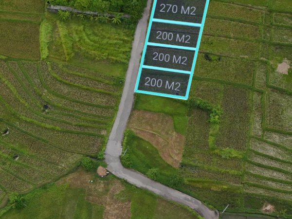 800 sqm Prime Land for Sale Near Nyanyi Beach Close to Nuanu- Tabanan