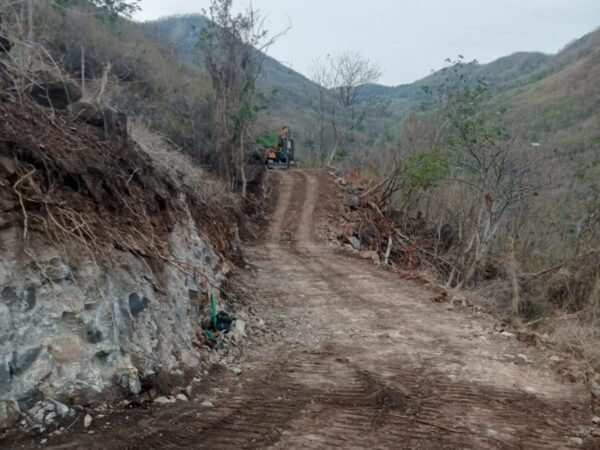 50244 - 1 Ha Hillside & Ocean View Freehold Land For Sale – Amed Lipah, Bali